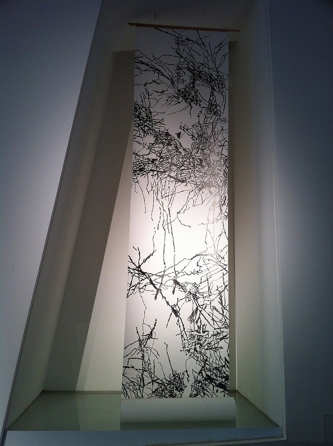 Daniella Sheinman, Untitled (Roll)
2013, Graphite on paper