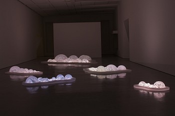 amoros lightbetweentheislands