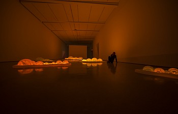 amoros lightbetweentheislands