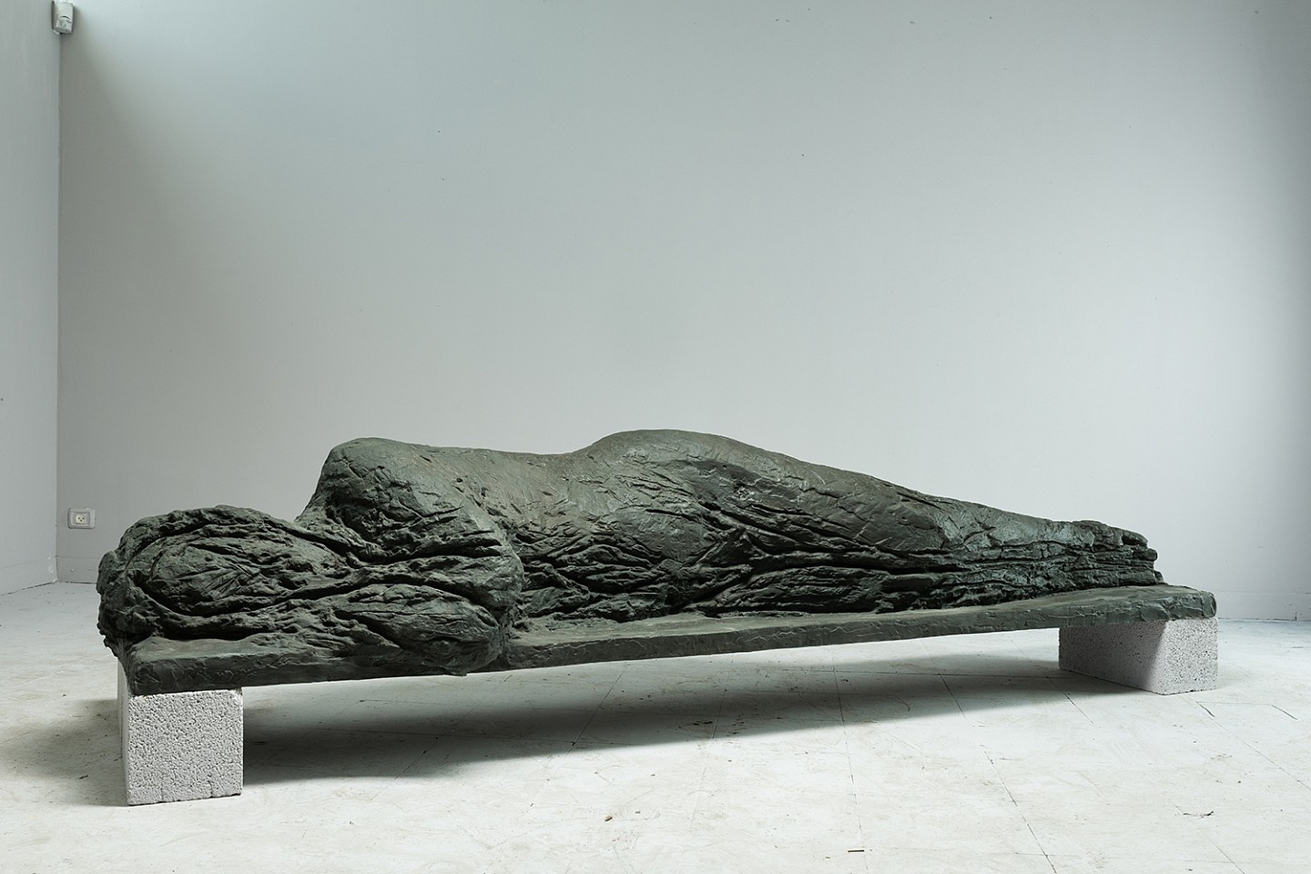 Ofer Lellouche, Reclining Woman
2015, Bronze