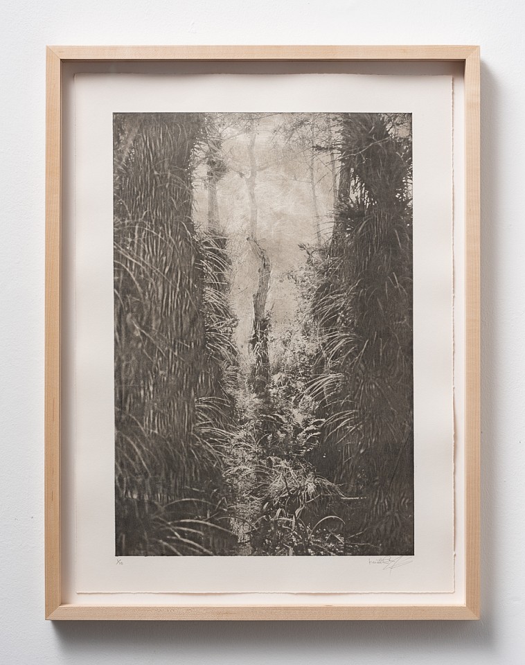 Itamar Freed & Kristina Chan, Cypress Tree II
2019, Etching with chine colle on Zerkyl Natural