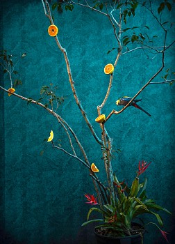 yellow persi 2020 inkjet print on archival paper 110 x 75 cm.gif