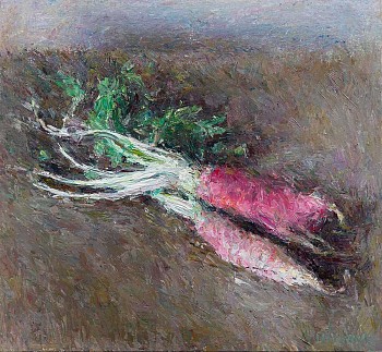 radis 2019 61 9 x 67 2cm copy