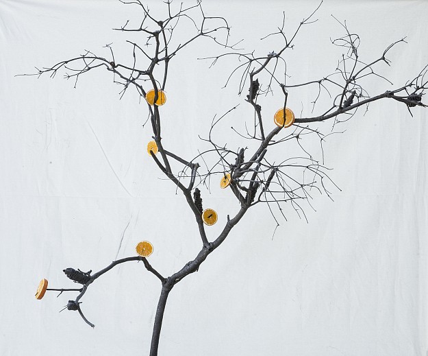Orange Tree, 2019, Photography, Inkjet pigment print on archival Japanese paper