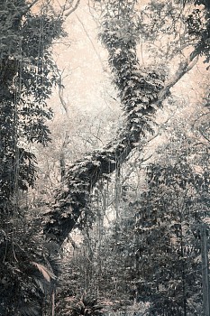 far north ready to print 110x165