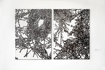 Ã—Â©Ã—â„¢Ã—â„¢Ã—Â Ã—Å¾Ã—Å¸ Ã—â€˜Ã—â€™Ã—Å“Ã—Â¨Ã—â„¢Ã—â€ Ã—Å“Ã—â„¢Ã—ËœÃ—â€˜Ã—ÂÃ—Â§