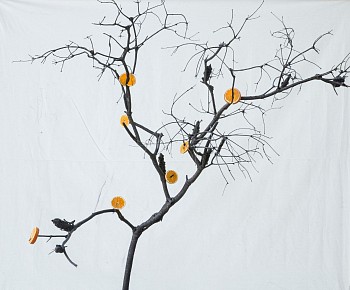 itamar freed and kristina chan orange tree 2019 litvak contemporary