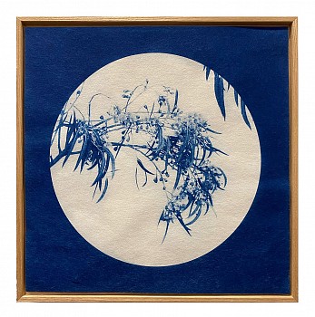pinholes kristina chan & itamar freed cyanotype 2021 30 x 30 cm