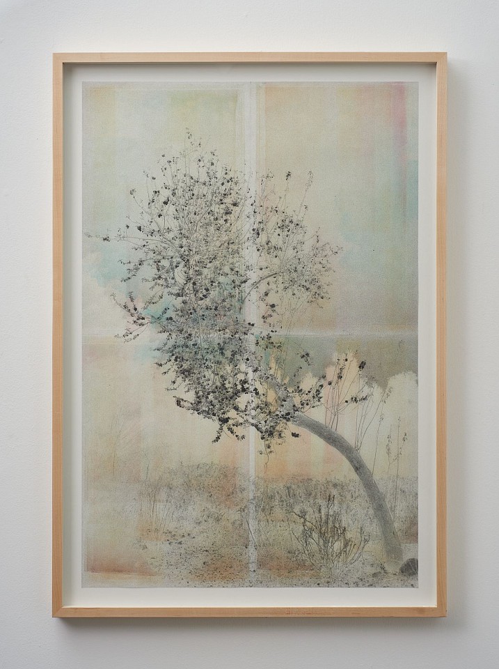 Itamar Freed & Kristina Chan, Wild Almond
2022, Multimedia: Lithographic mono print with stencilling