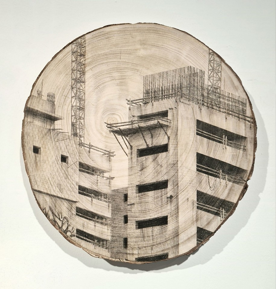 Amir Tomashov, Unrooted 25
2024, Graphite on wood