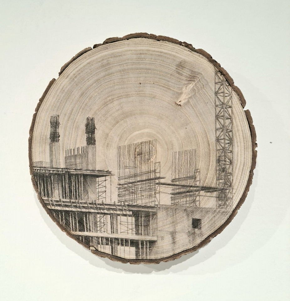 Amir Tomashov, Unrooted 28
2024, Graphite on wood