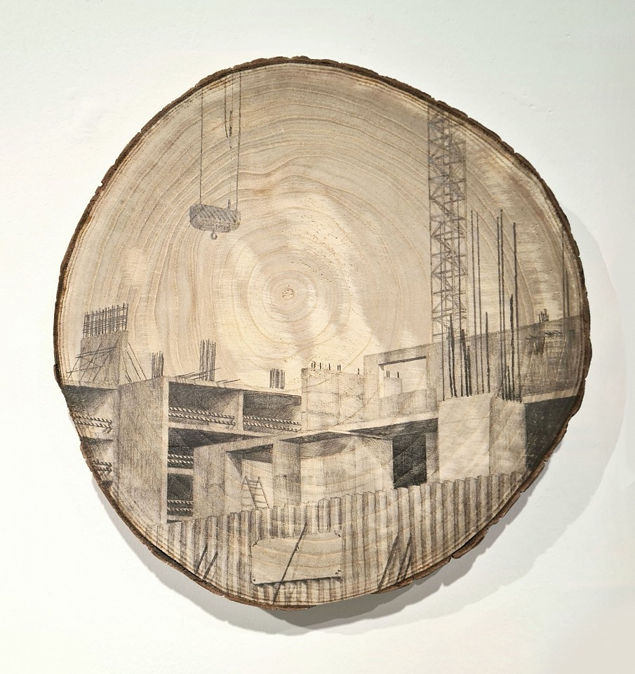 Amir Tomashov, Unrooted 27
2024, Graphite on wood