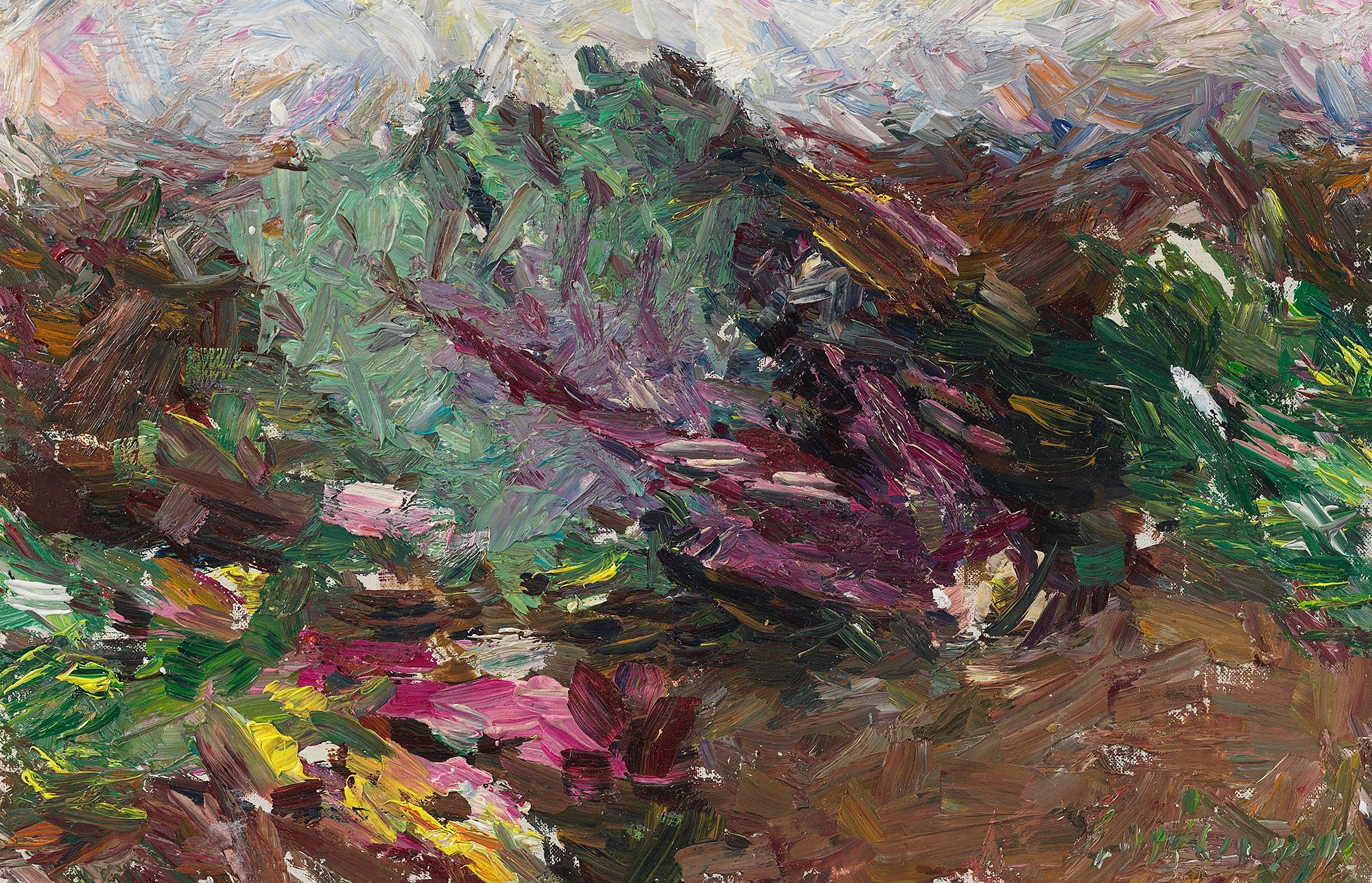 chou et blettes 2022 19 x 29 3cm